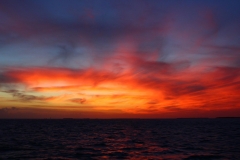 Sunset Cruise Key West