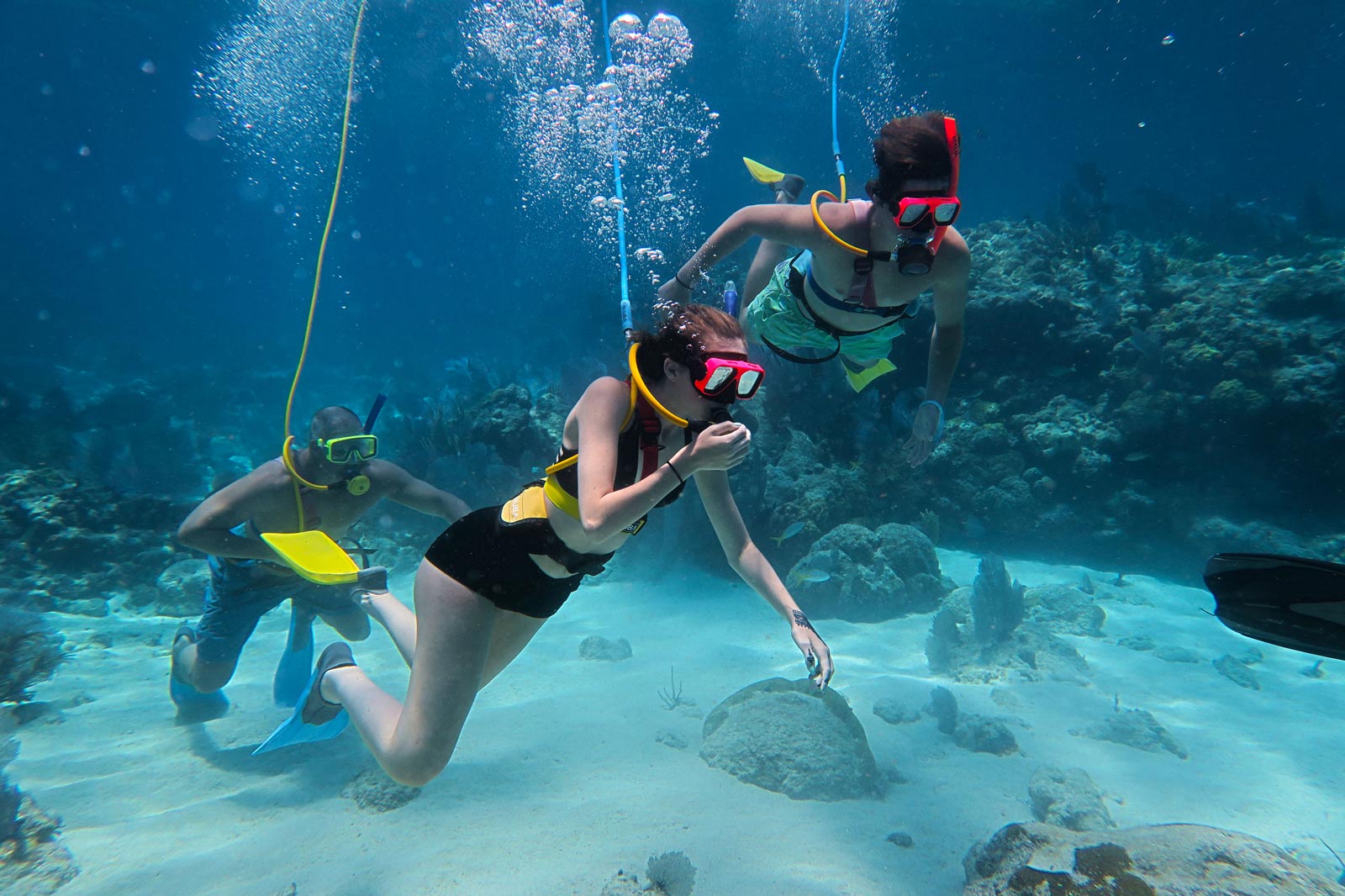 key west snorkling tour