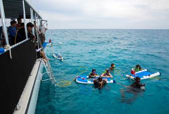 Underwater Photo Package Key West