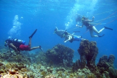 Diving Key West