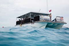 Private Charters Key West