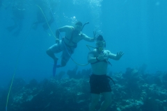 Snorkel Key West