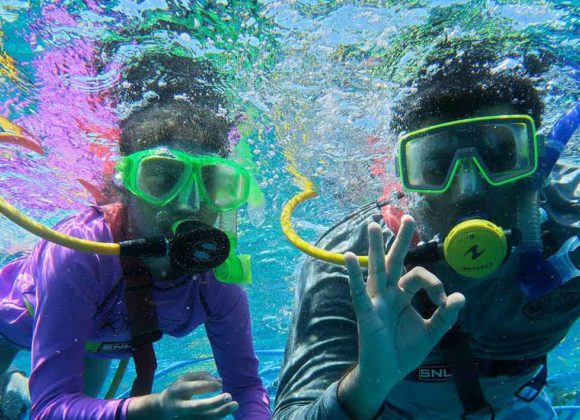 Coral Reef Snorkeling in Key West