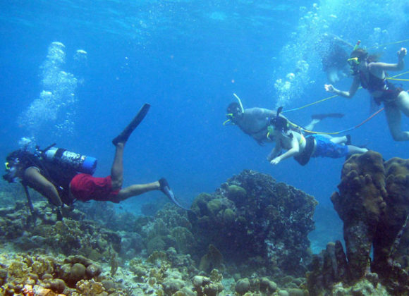 Learn Scuba Diving in Key West