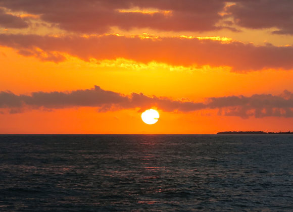 Sunset Tour, Sunset Cocktail Cruise, Sunset Cruise in Key West 