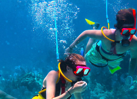 Learn to Dive, Dive Training and Diving Instructions in Key West 