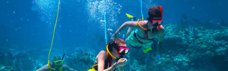 Snorkel Adventure, Snorkeling Adventure and Snorkeling in Key West 