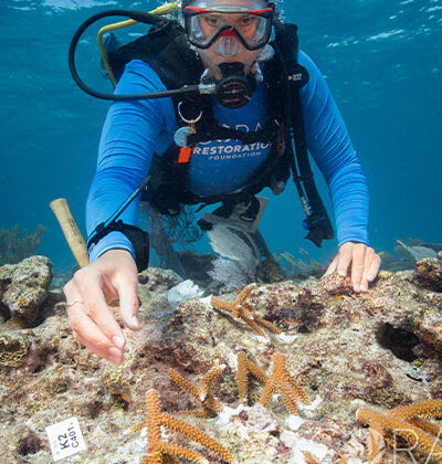 Snorkel Adventure in the ocean reef in Key West