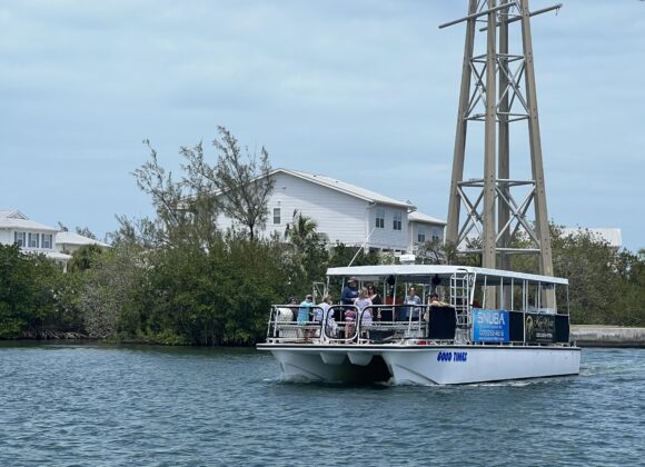 a group of people Scuba Diving in Key West 